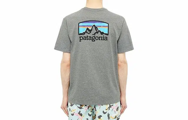 Patagonia Horizons Responsibili