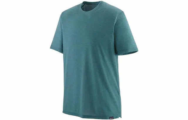 patagonia T