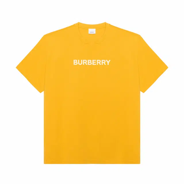 Burberry SS23 LogoT