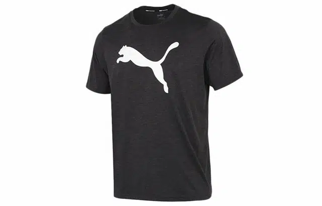 Puma T