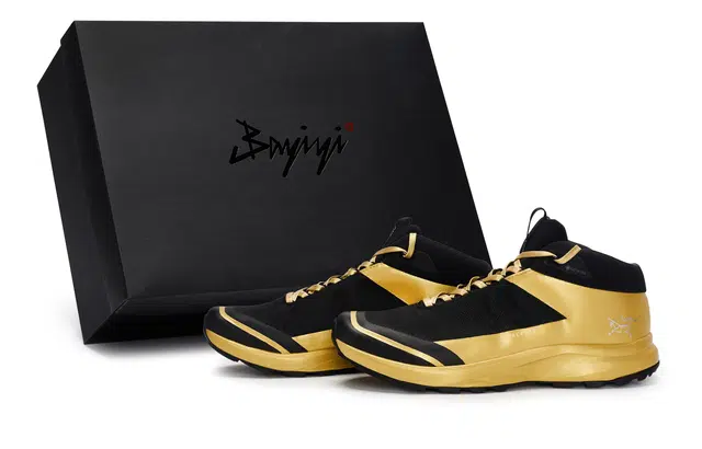 Arcteryx Aerios Fl 2