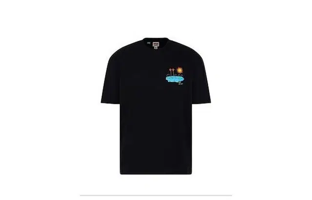GUESS T