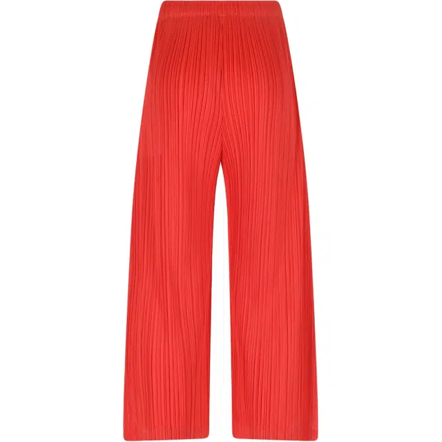 PLEATS PLEASE ISSEY MIYAKE SS25