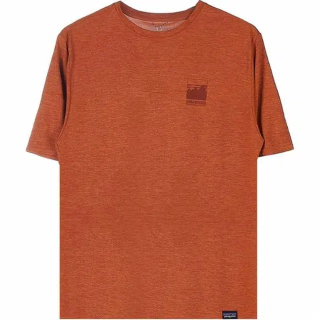 patagonia cap cool daily Graphic T