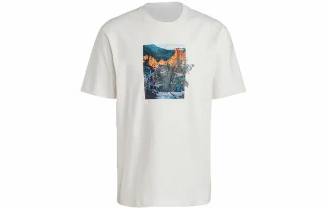 adidas originals Ldsp Tee T
