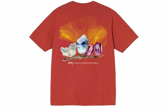 Stussy Higher State Tee