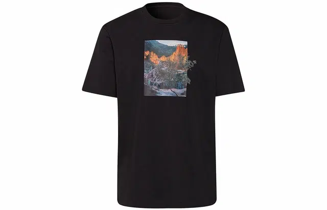 adidas originals Ldsp Tee T