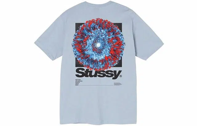 Stussy Young Organics Tee T