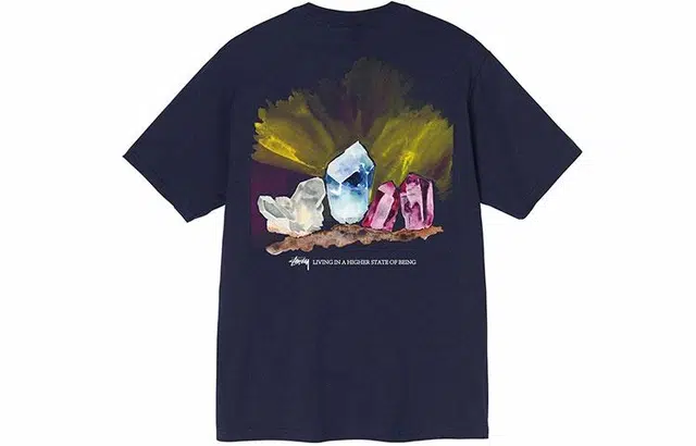 Stussy Higher State Tee T