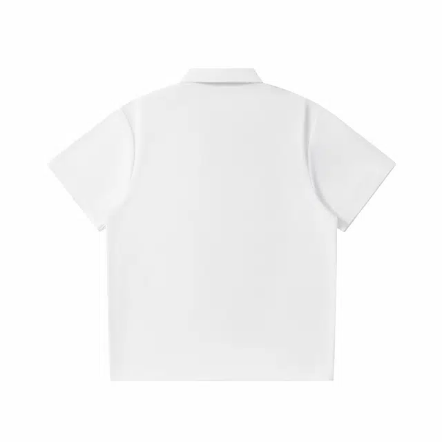 QPolo