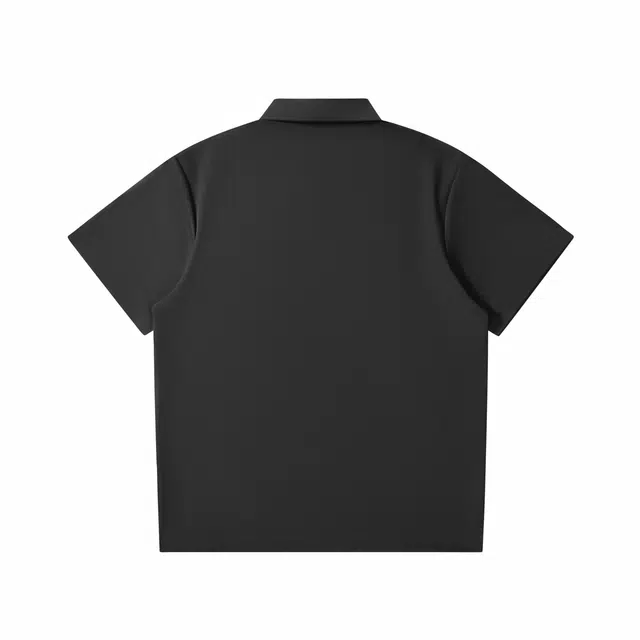 QPolo