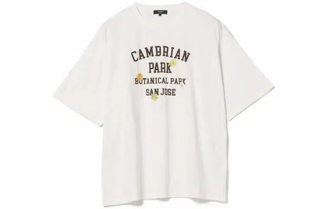 beams T