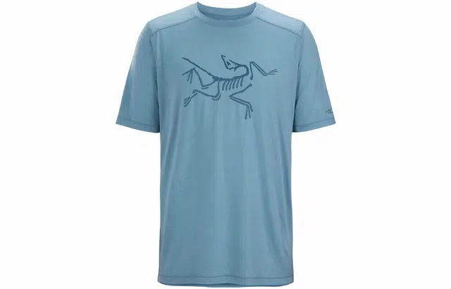 Arcteryx Ionia Merino Wool Logo Tee LogoT