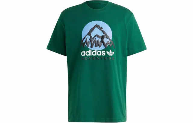 adidas originals Adv Mtn F Tee LogoT