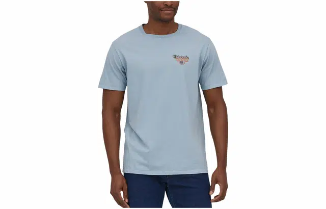 patagonia T