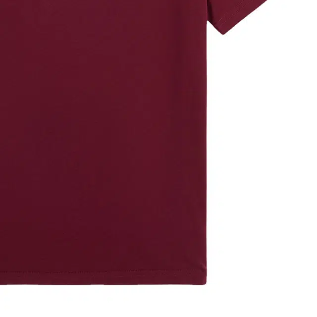 Polo Ralph Lauren T