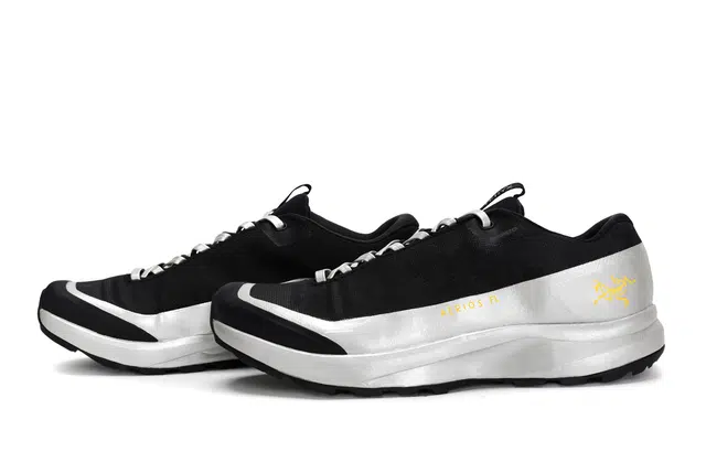 Arcteryx Aerios Fl 2 GTX 811