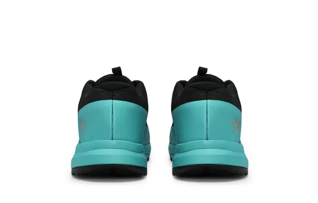Arcteryx Aerios Fl 2 GTX 811