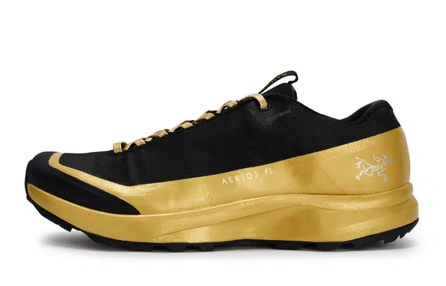 Arcteryx Aerios Fl 2 GTX 811