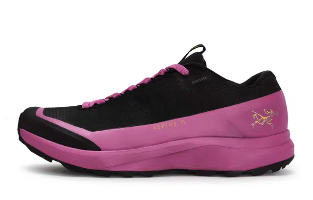 Arcteryx Aerios Fl 2 GTX 811
