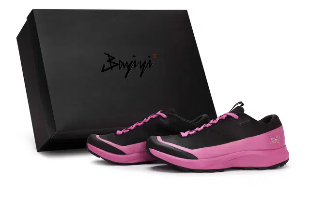 Arcteryx Aerios Fl 2 GTX 811