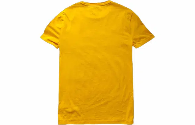 Polo Ralph Lauren T