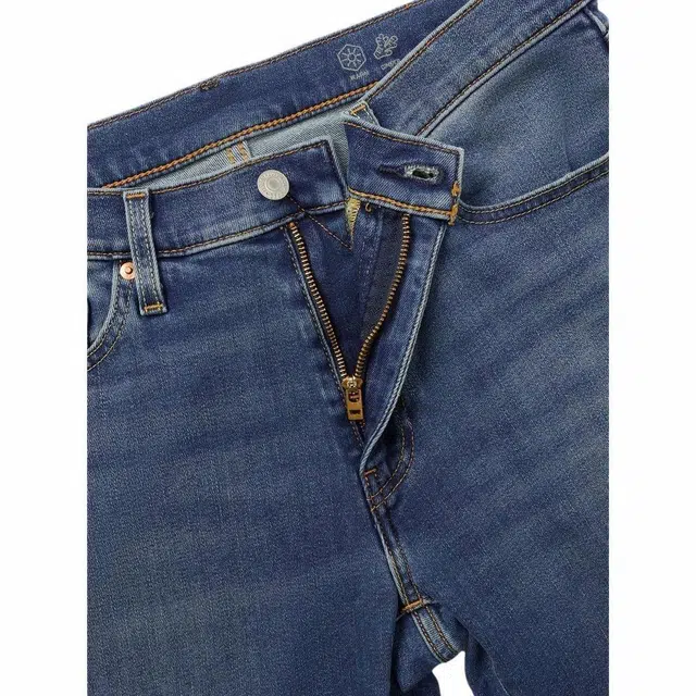 levis 541