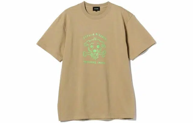 beams T