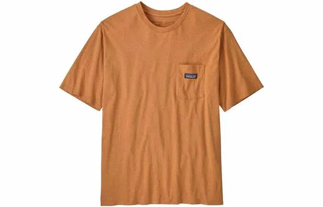 patagonia LogoT