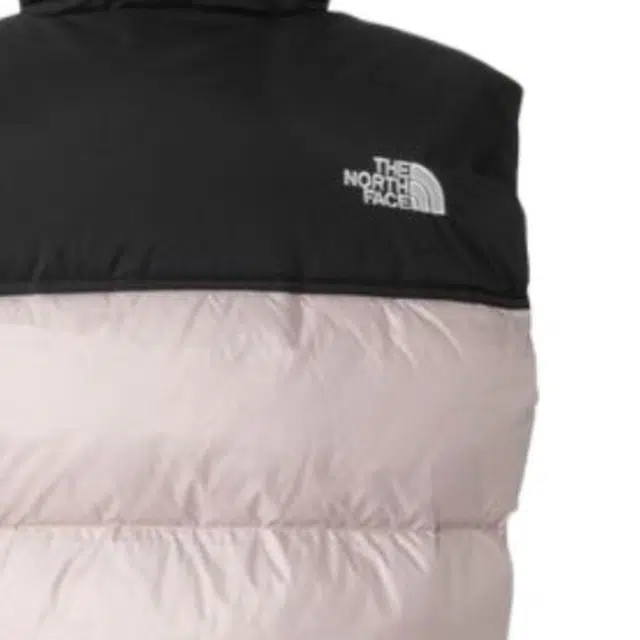 THE NORTH FACE Nupsi FW24 WL logo