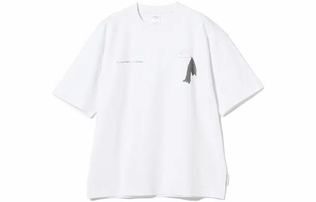 beams T