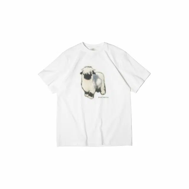 BASIC MATCH T