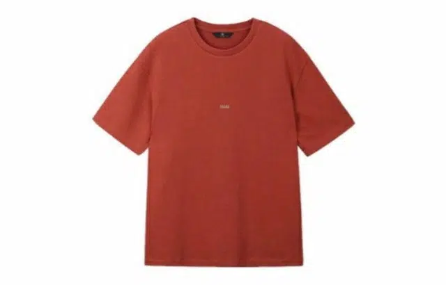 MindBridge T