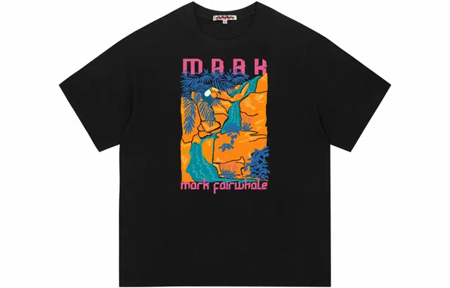 FAIRWHALE T