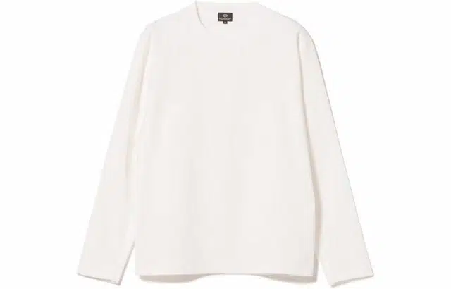 beams T