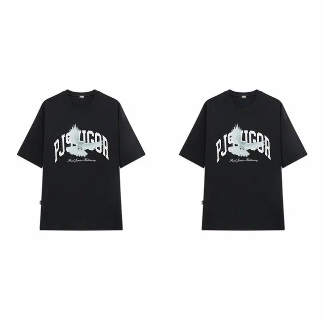 PJ's Vigor T 2