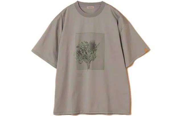 beams T