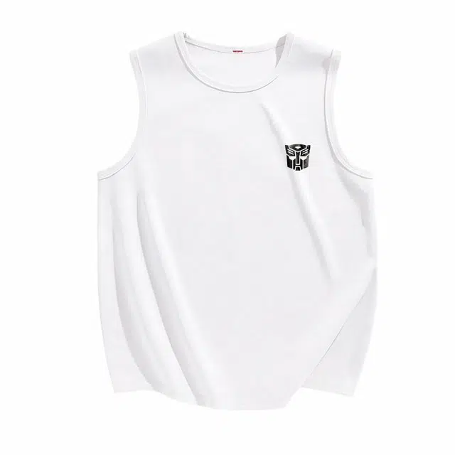TRANSFORMERS t