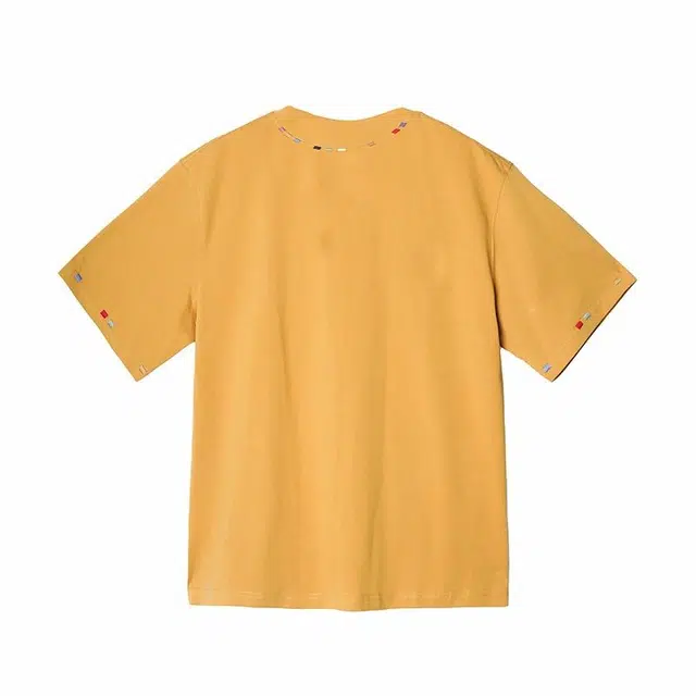 CDISHOU T