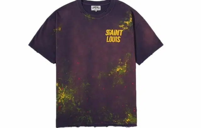 SSSAINT LOUIS logoT