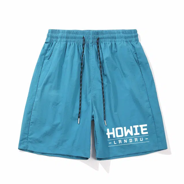 HOWIE LANDAU Logo