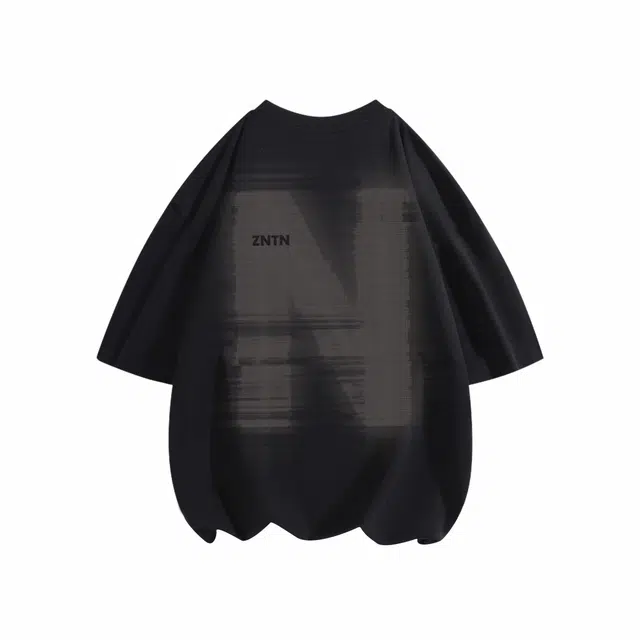 ZNTN T