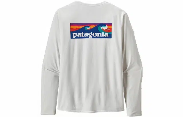 patagonia T