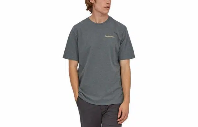 patagonia Men's Hold On To Winter Responsibili-Tee T