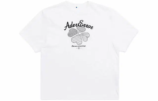 ADER ERROR T