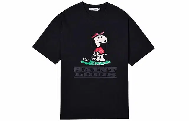 SSSAINT LOUIS T