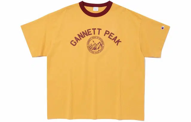 Champion T