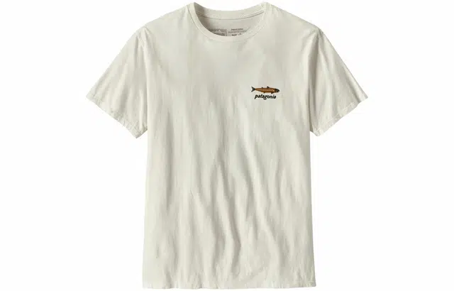 patagonia T