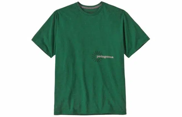 patagonia T