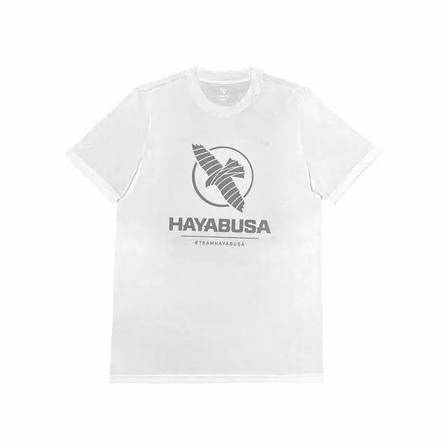HAYABUSA T